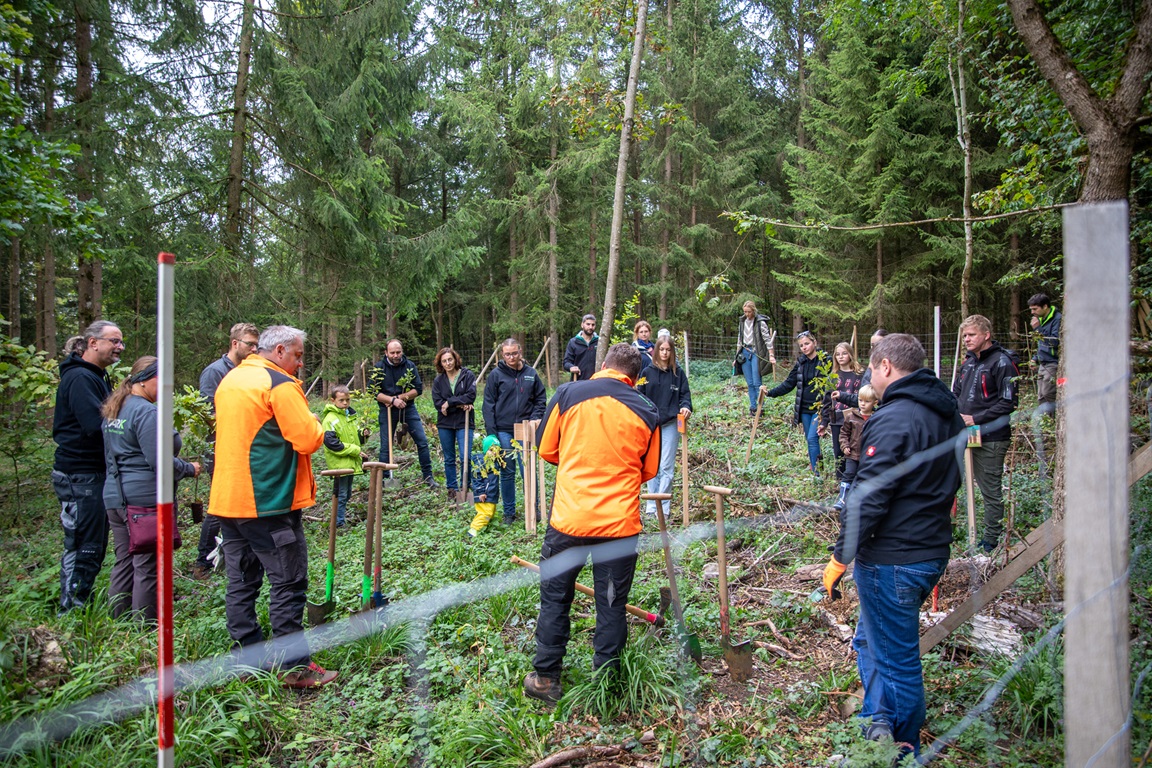 (c) Wetsch - Waldlehrprogramm Stark