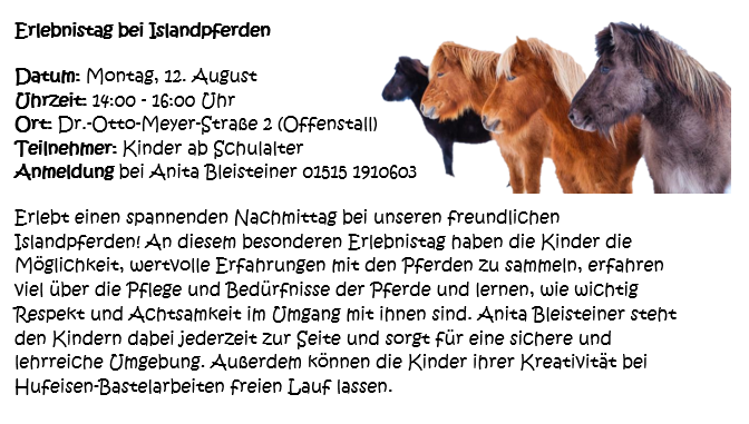 Erlebnistag mit Islandpferden